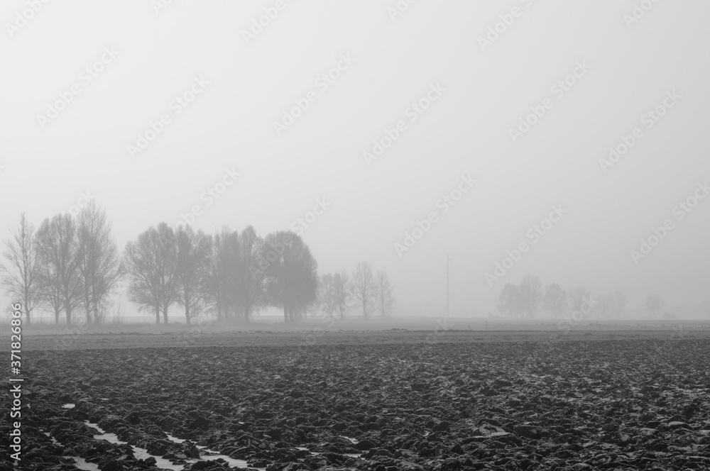 Poranna zimowa mgła nad polami - nastrojowa czarno-biała fotografia - obrazy, fototapety, plakaty 