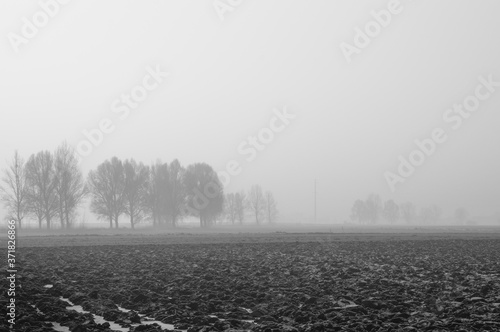 Poranna zimowa mgła nad polami - nastrojowa czarno-biała fotografia