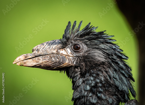 Animals in Zoo Ostrava Czech Republic © David