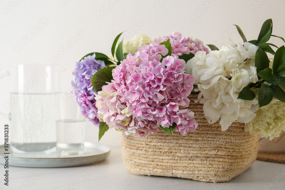 Beautiful hydrangea flowers in basket on light table, closeup Beautiful hydrangea flowers in basket on light table, closeup