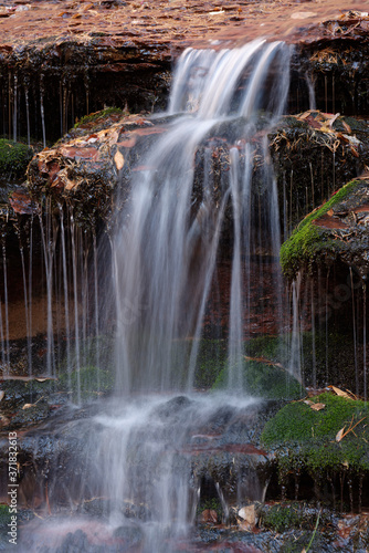 Waterfall in the Left Fork North Creek  Zion National Park