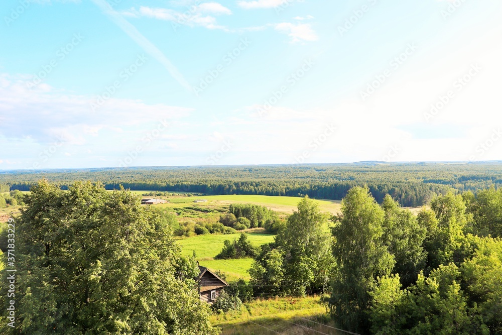 Wooden Russian old house is buried in summer green vegetation