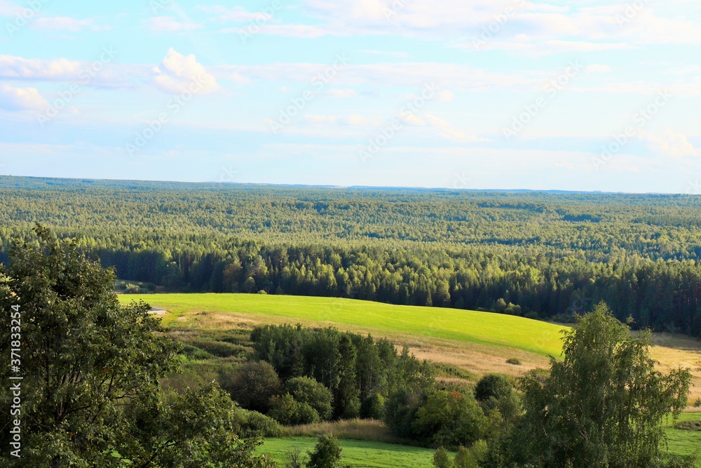 View of the pasture and taiga