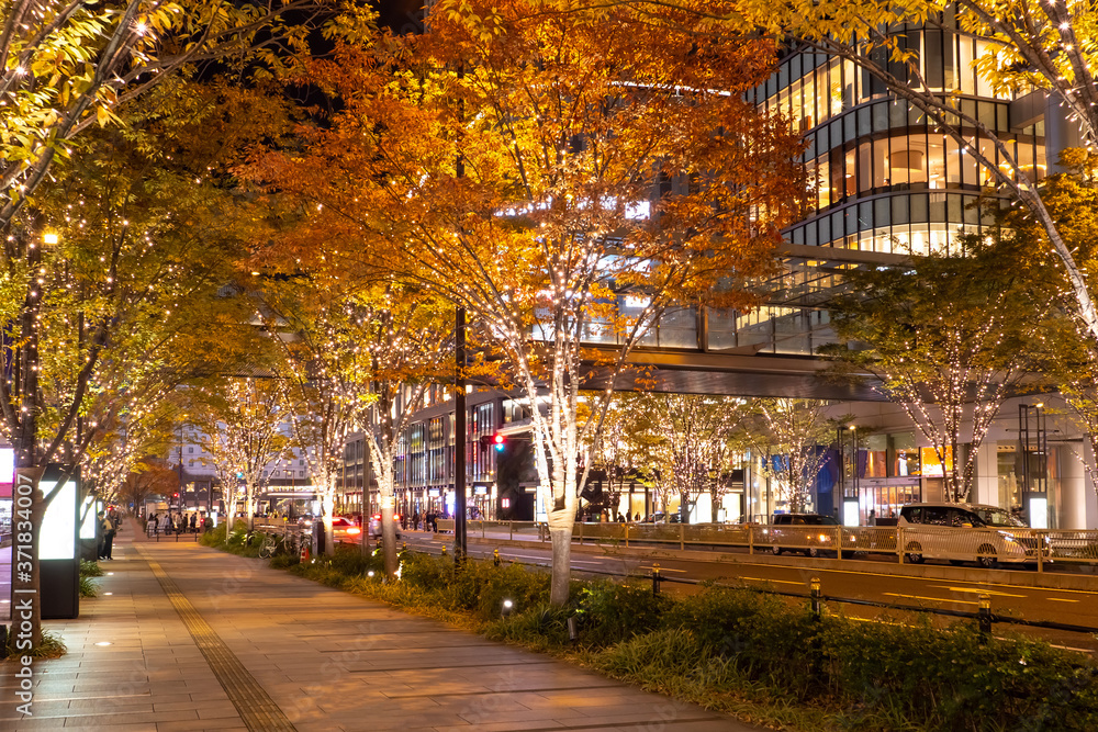 Naklejka premium Japan. Autumn night in Osaka city. Garlands adorn the Japanese city. Street in Japan in the first person. Evening streets of Osaka. Improvement of the Japanese cities. Tour on the cities of Japan.