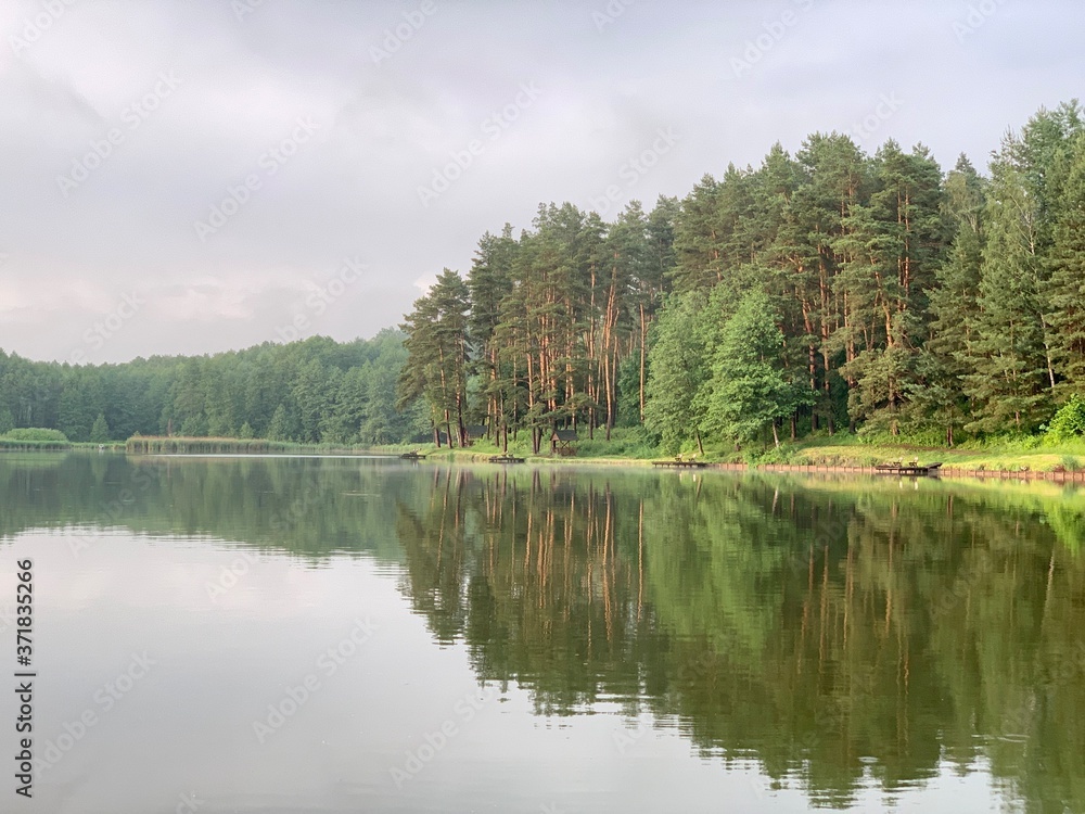 Fototapeta premium Trees are reflected in the water of the lake. Evening landscape, a small pond in the forest. Reflection of the blue sky and trees in a park reservoir.