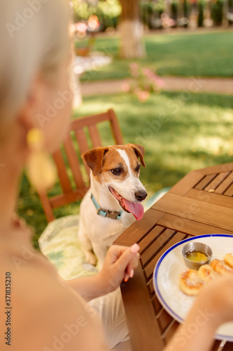 Dog watch a woman eat in the open air.