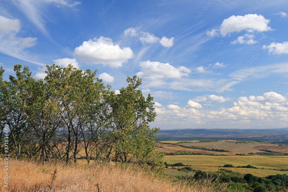 Cirrus clouds, fields and trees in the vicinity of the village of Avren (Bulgaria)