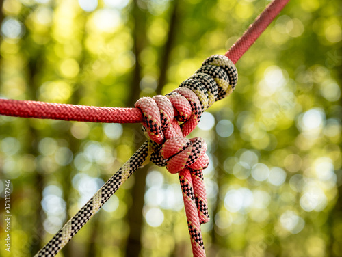 Detail of rope park in a forest. Adventure summer park.