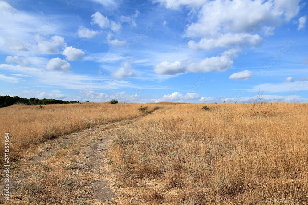 Dirt road in the field and clouds in the vicinity of the village of Avren (Bulgaria) Dirt road in the field and clouds in the vicinity of the village of Avren (Bulgaria)