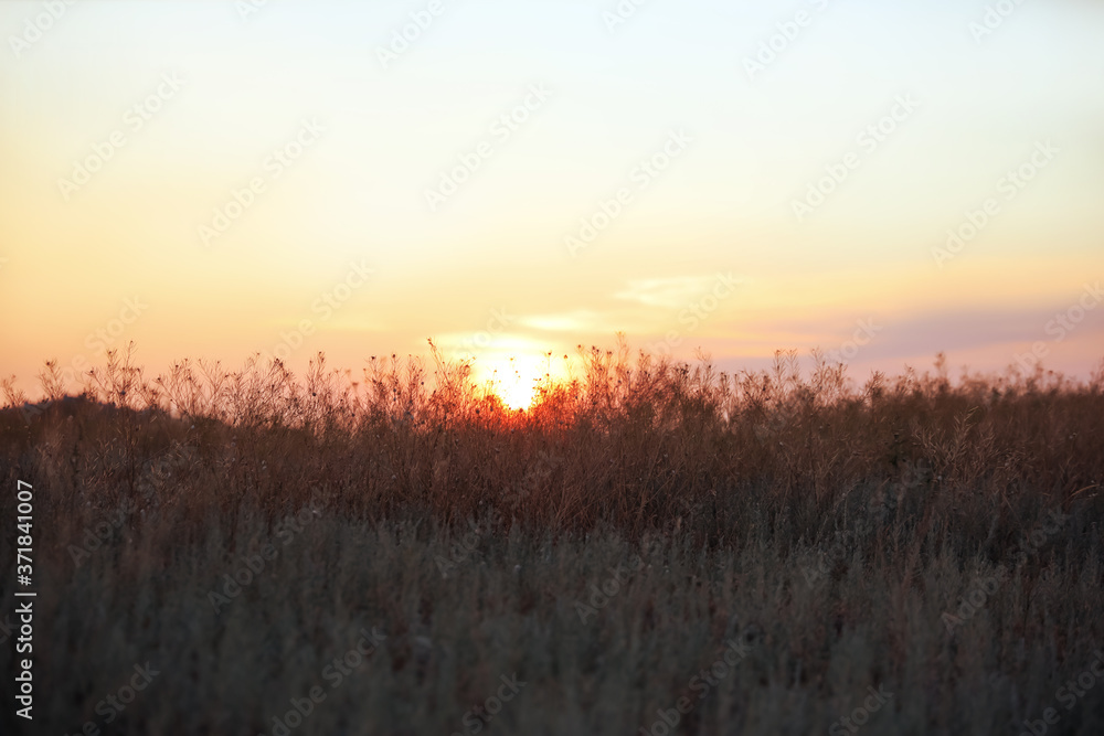 Beautiful view of field at sunrise. Early morning landscape Beautiful view of field at sunrise. Early morning landscape