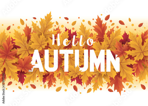 Hello autumn season design. Autumn background with fall leaves. Autumn seasonal template with leaf