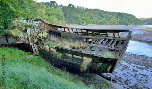 Old boad in wood in a river