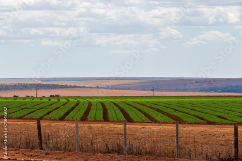 Plantação de grãos em uma fazenda em Goiás. © Raulzito Moura