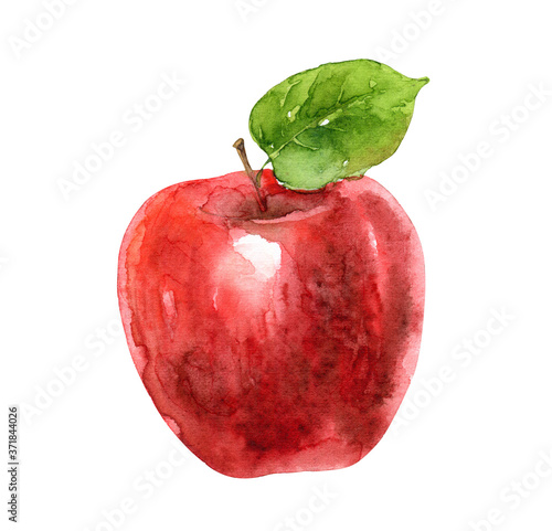 Watercolor red apple isolated on white background