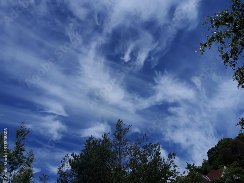 Photography White clouds in the blue sky - Oslo, Sognsvann