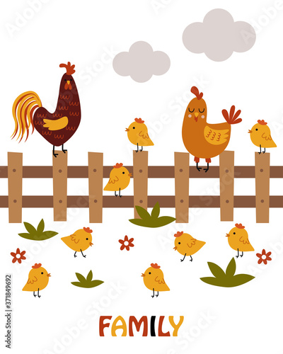 poster with cock and chicken - vector illustration, eps
