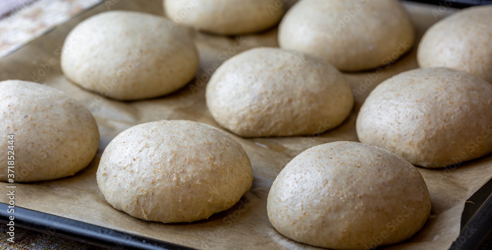 Whole grain burger buns. Proofing the dough before baking. Preparation Whole grain burger buns. Proofing the dough before baking. Preparation