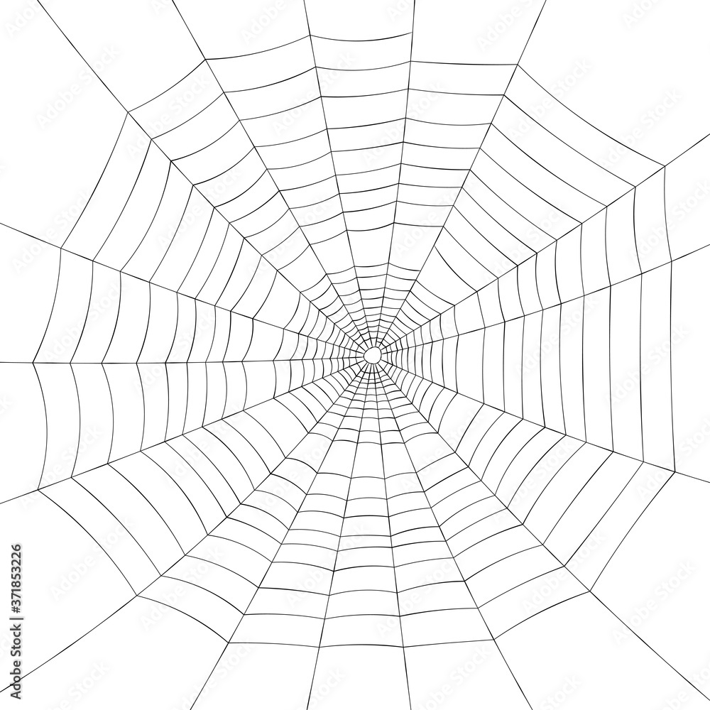 Full screen black spiderweb on white background.