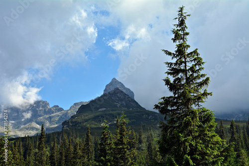 Fototapeta Naklejka Na Ścianę i Meble -  góry Tatry, widok na Kościelec
