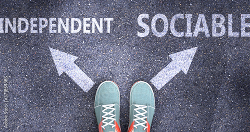 Independent and sociable as different choices in life - pictured as words Independent, sociable on a road to symbolize making decision and picking either one as an option, 3d illustration