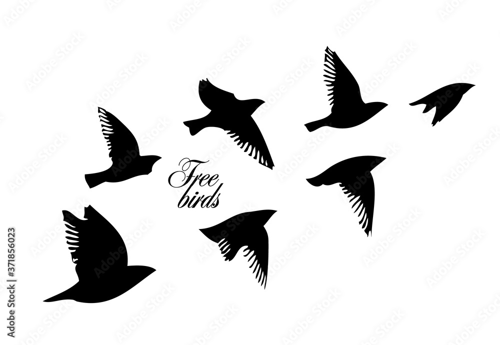 Fototapeta premium A flock of flying birds. Vector illustration