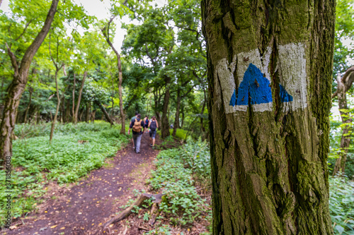 Hiking trail on Hill Badacsony