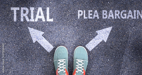 Trial and plea bargain as different choices in life - pictured as words Trial, plea bargain on a road to symbolize making decision and picking either one as an option, 3d illustration photo