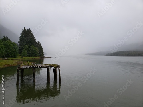morning mist on the lake
