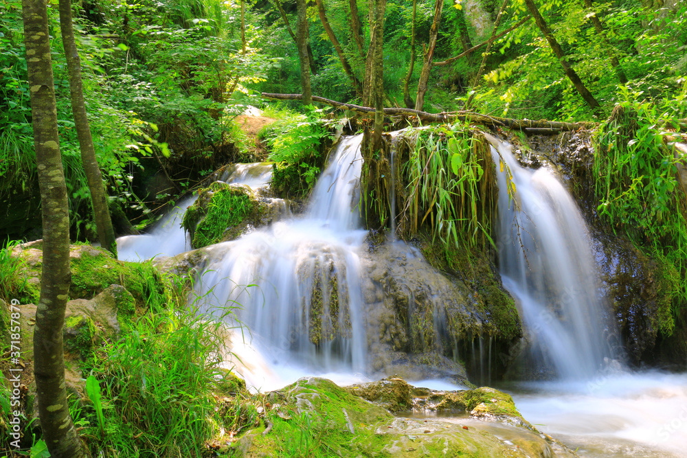 Mountain stream among the mossy stones