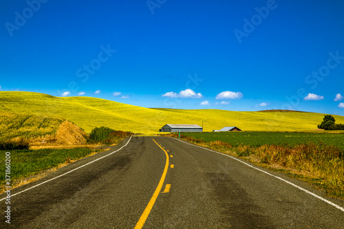 Photos Summer in Palouse Washington during canola bloom