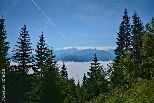 Fototapeta Naklejka Na Ścianę i Meble -  mgła w Tatrach, widok ze szlaku na  Gęsią Szyję