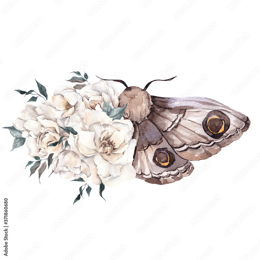 Watercolor illustration with moth and flowers, isolated on white background