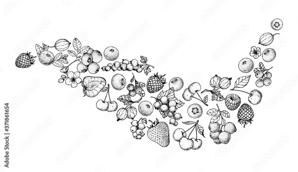 Berries sketch collection. Hand drawn vector illustration. Food illustration. Hand drawn berry set. Engraved style. Berries sketch collection. Hand drawn vector illustration. Food illustration. Hand drawn berry set. Engraved style.