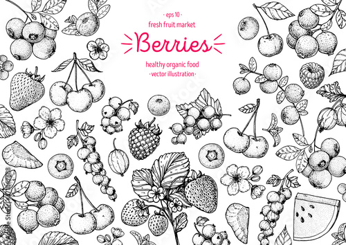 Berries drawing collection. Hand drawn berry sketch. Vector illustration. Food design template with berry. Blueberries, strawberries, cherries, currants, cranberries, gooseberries, raspberries