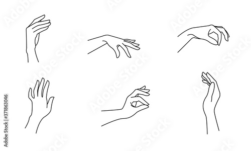 Woman's hand in line art style. Female hands different gestures vector illustration