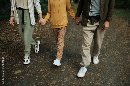 Low section of contemporary family holding by hands while walking in forest © pressmaster