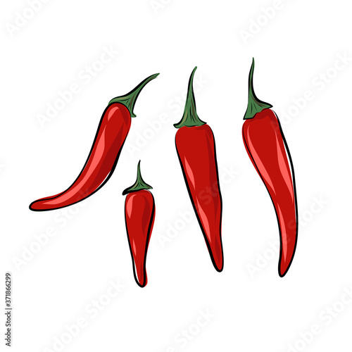 Vector isolated chili pepper on a white background. Illustration of a set of spices. Hand drawn sketch style. Spicy red vegetable. Mexican and Asian cuisine.