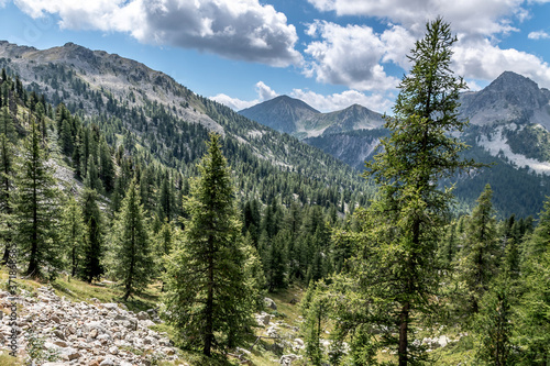 Paysage alpin dans le parc du Mercantour