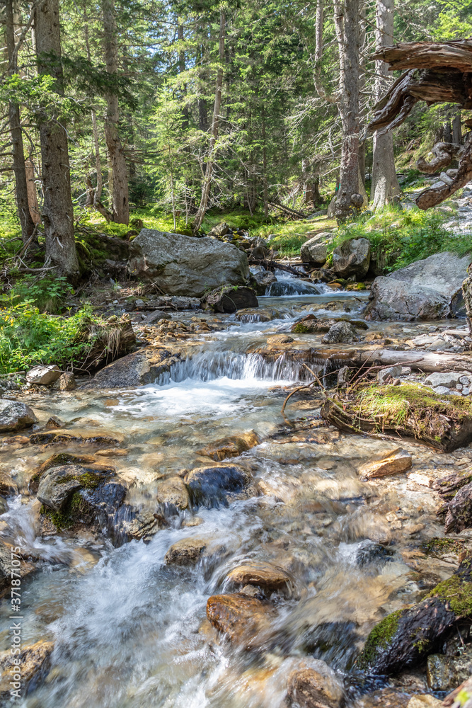 Rivière dans les sous bois dans les Alpes - River in Alps Rivière dans les sous bois dans les Alpes - River in Alps