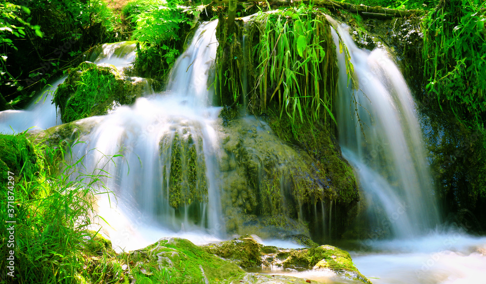Mountain stream among the mossy stones Mountain stream among the mossy stones