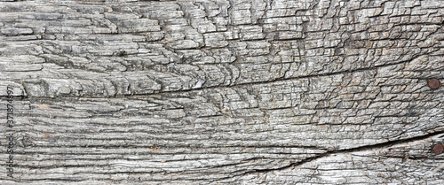 Cut of aged and weathered wood