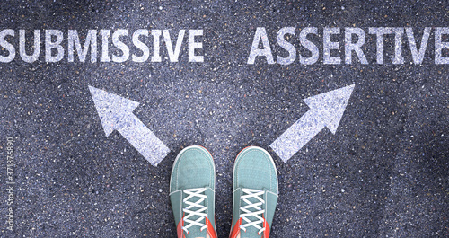Obraz na plátne Submissive and assertive as different choices in life - pictured as words Submis