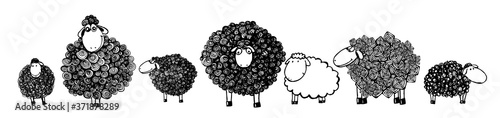 Set of monochrome sheep. Mixed media. T-shirt print. Vector illustration