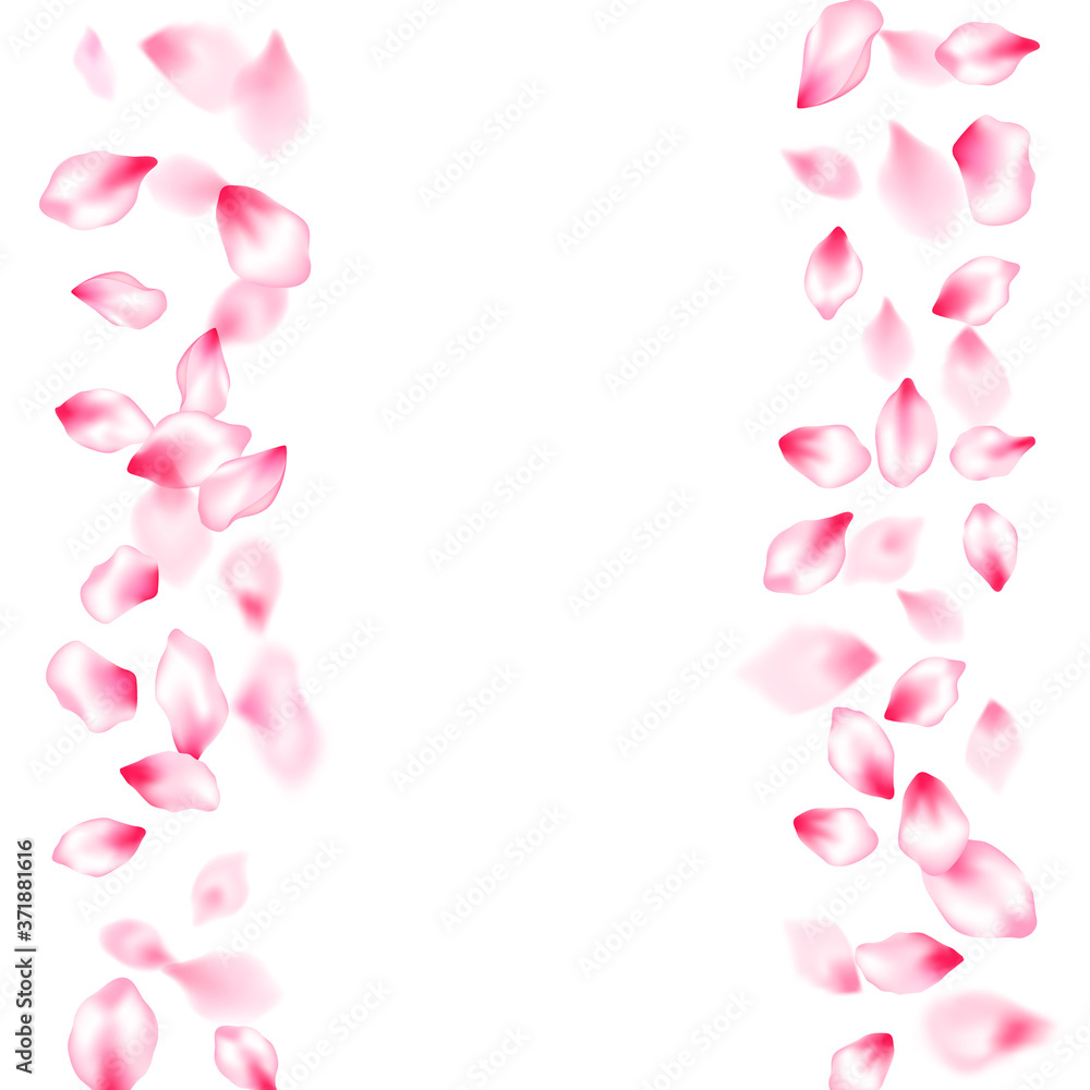 Spring tree flowers parts, airy flying petals Spring tree flowers parts, airy flying petals