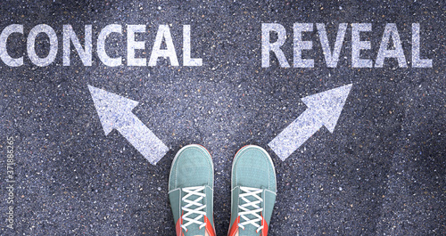 Conceal and reveal as different choices in life - pictured as words Conceal, reveal on a road to symbolize making decision and picking either Conceal or reveal as an option, 3d illustration