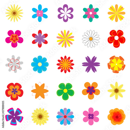 Flores de colores