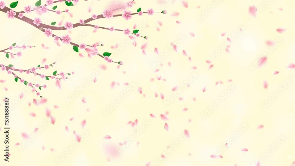 Pink Cherry blossom branch with falling petals animation. Japanese spring sakura flat design background. Pink Cherry blossom branch with falling petals animation. Japanese spring sakura flat design background.