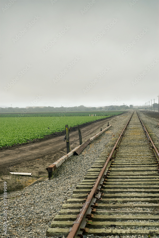 Some old abandoned train tracks running along side active farmland. Some old abandoned train tracks running along side active farmland.