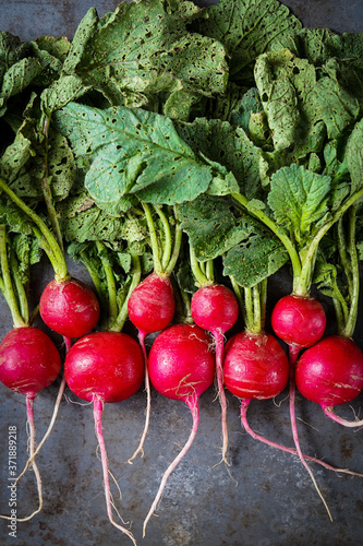 Red radishes on a dark surface