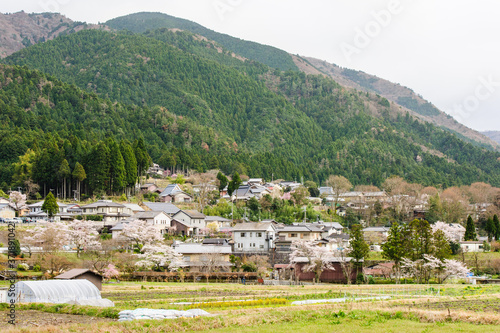 japanese village in countryside